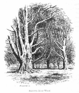 Tumulus Moor Wood - Walter Crane